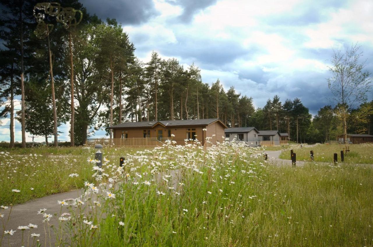 Lodge Hollicarrs - Stag
