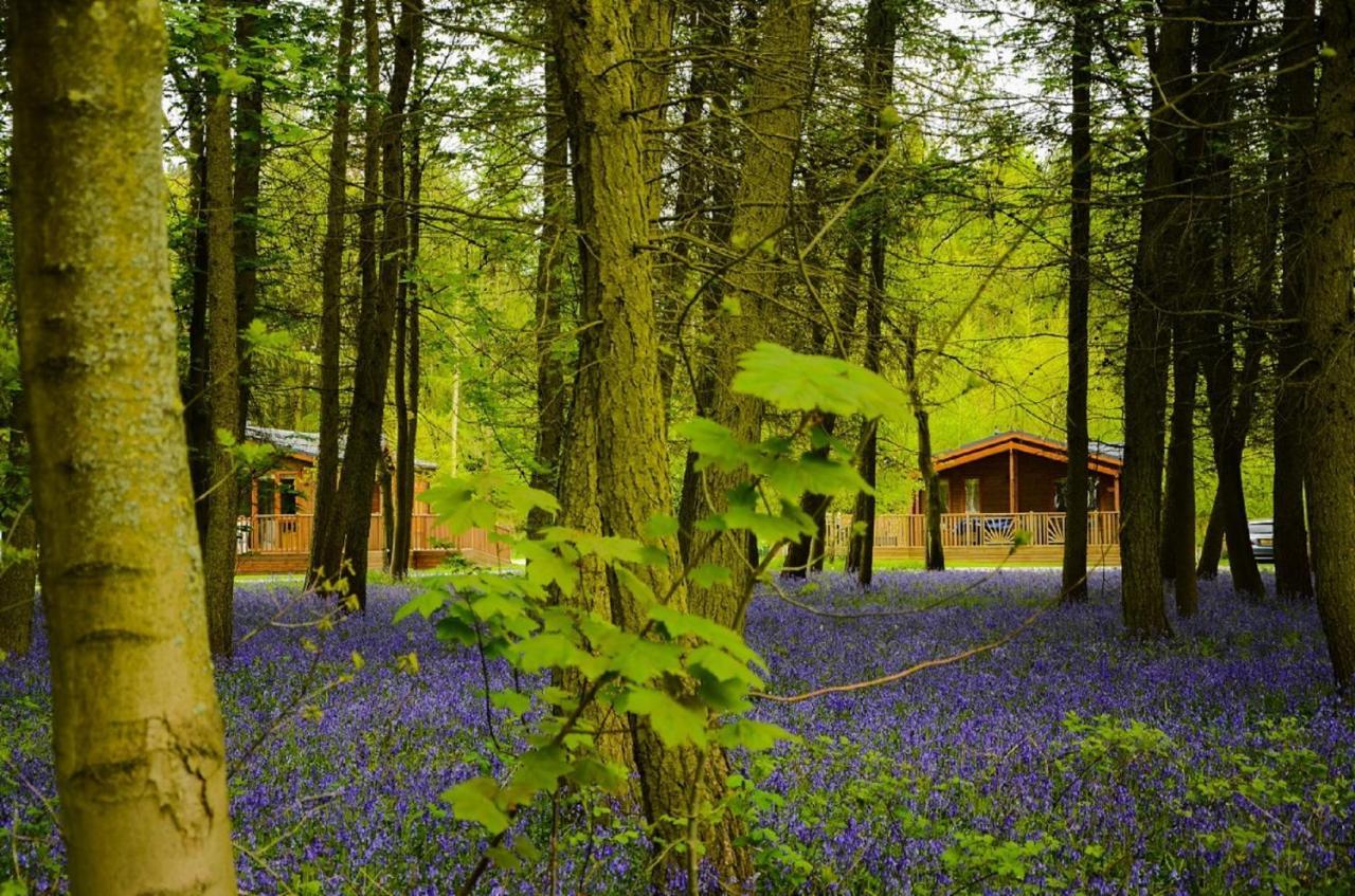 Hollicarrs - Stag Lodge York