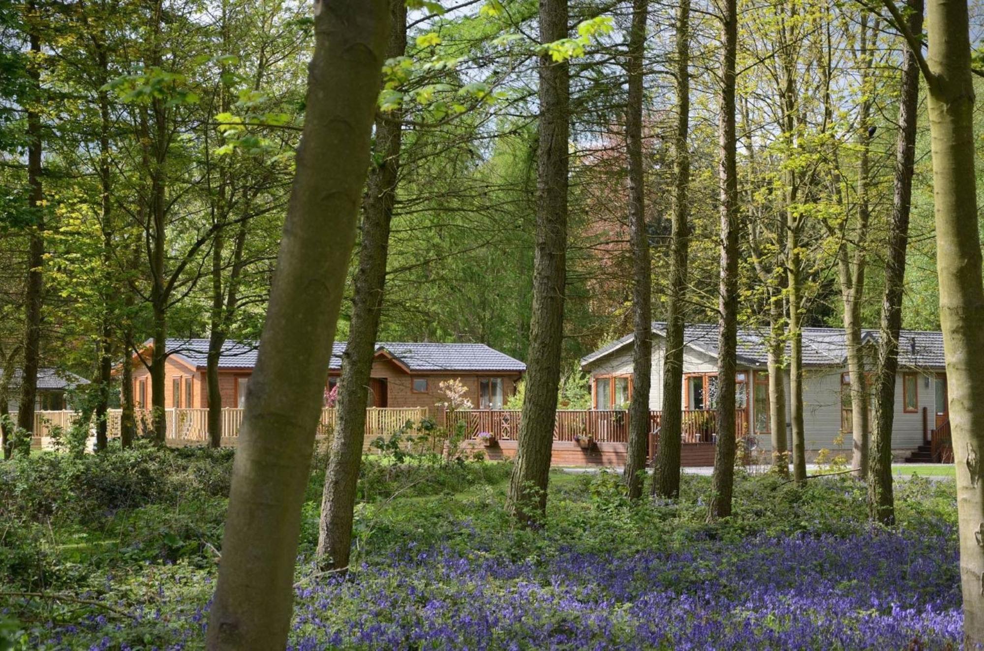 Hollicarrs - Stag Lodge York